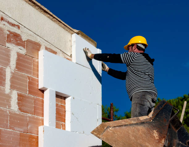Best Insulation Removal Services  in Applewood, CO