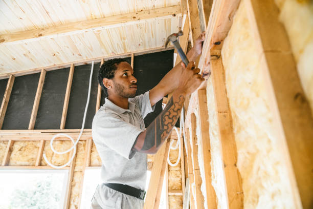 Best Professional Insulation Contractor  in Applewood, CO
